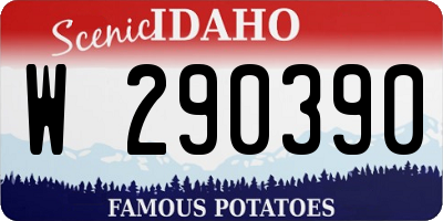 ID license plate W290390
