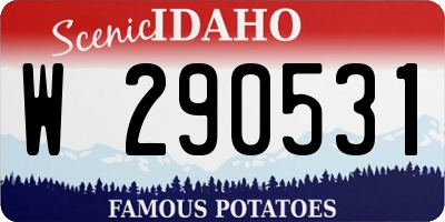 ID license plate W290531
