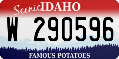 ID license plate W290596