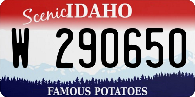 ID license plate W290650