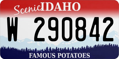 ID license plate W290842