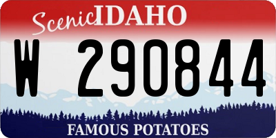 ID license plate W290844