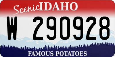 ID license plate W290928