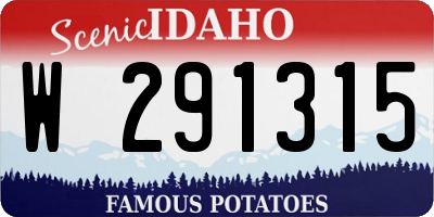 ID license plate W291315