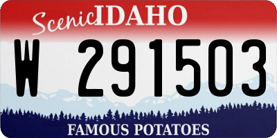 ID license plate W291503