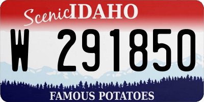 ID license plate W291850