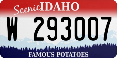 ID license plate W293007