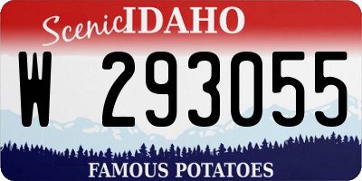 ID license plate W293055