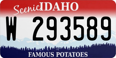 ID license plate W293589