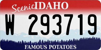 ID license plate W293719