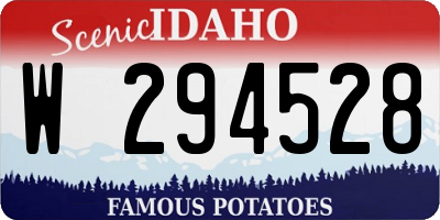 ID license plate W294528