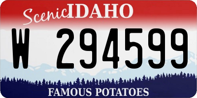 ID license plate W294599