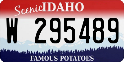 ID license plate W295489