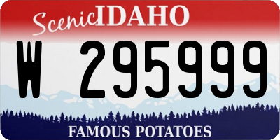 ID license plate W295999