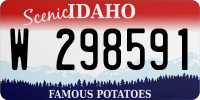 ID license plate W298591