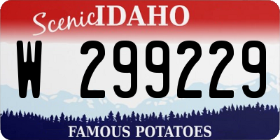ID license plate W299229