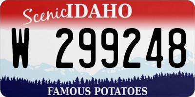 ID license plate W299248