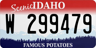 ID license plate W299479