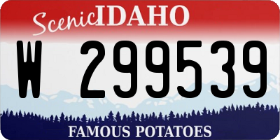 ID license plate W299539