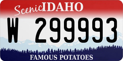 ID license plate W299993