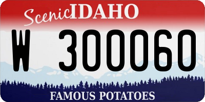 ID license plate W300060