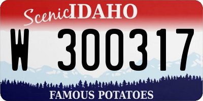 ID license plate W300317
