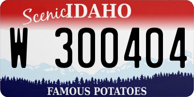 ID license plate W300404