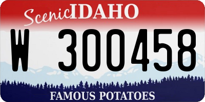 ID license plate W300458