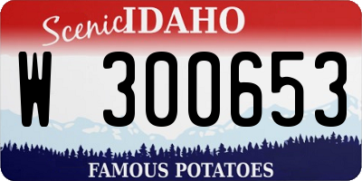 ID license plate W300653