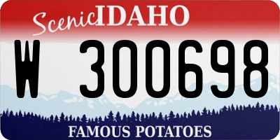 ID license plate W300698