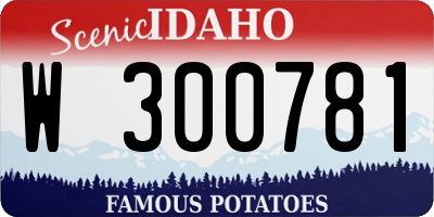 ID license plate W300781