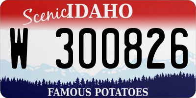 ID license plate W300826