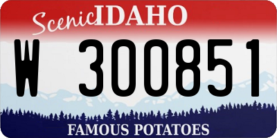 ID license plate W300851