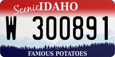 ID license plate W300891