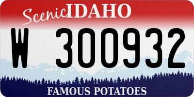 ID license plate W300932