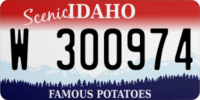 ID license plate W300974