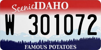 ID license plate W301072