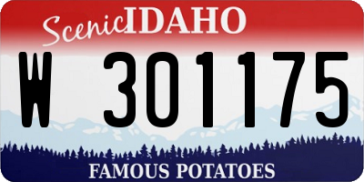 ID license plate W301175