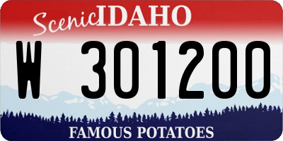 ID license plate W301200