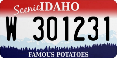 ID license plate W301231