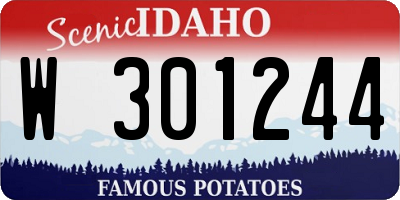 ID license plate W301244