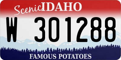 ID license plate W301288