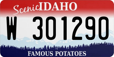 ID license plate W301290