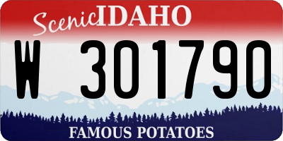 ID license plate W301790