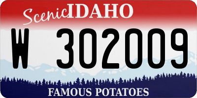 ID license plate W302009