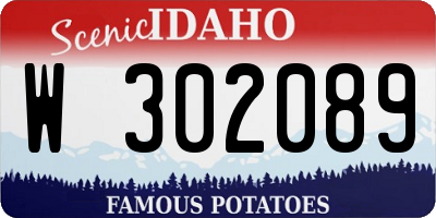 ID license plate W302089
