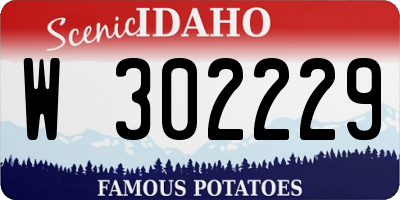 ID license plate W302229