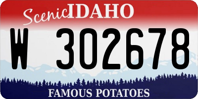 ID license plate W302678