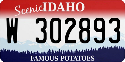 ID license plate W302893