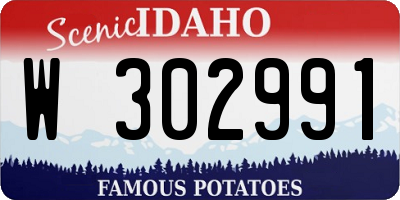 ID license plate W302991